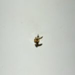 Gold Rengi Gül Model Zirkon Titanyum Piercing